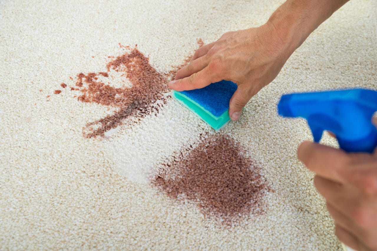 removing carpet stains