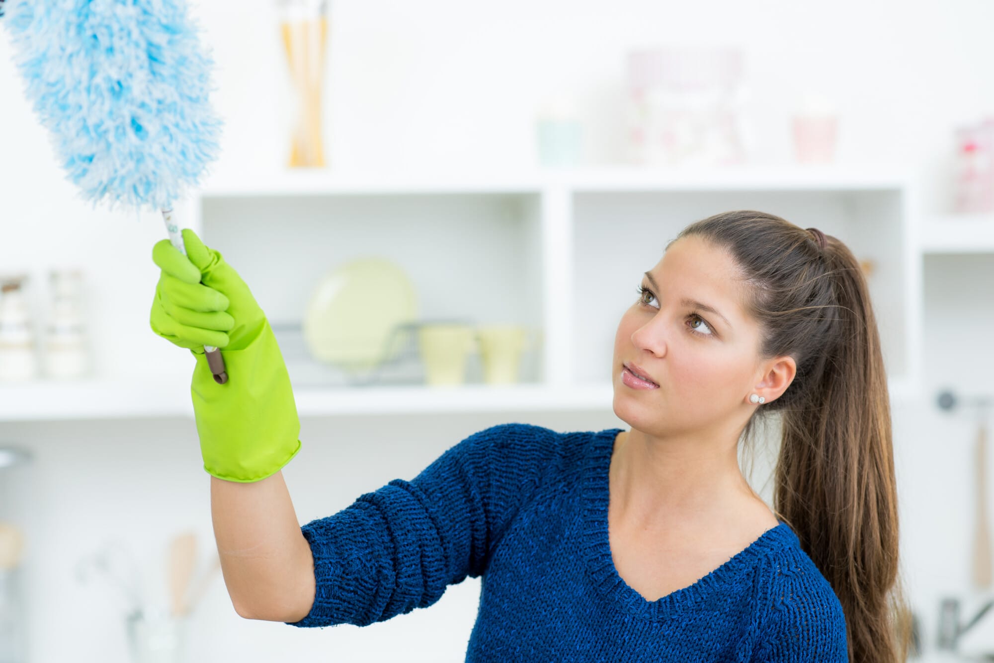 dust-free home dust-free home